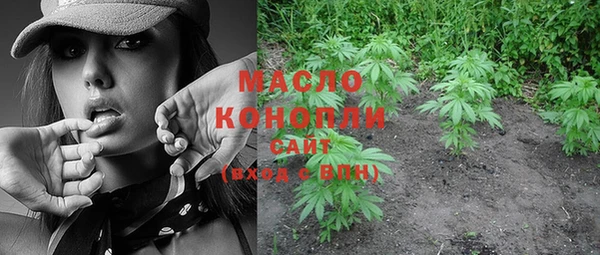 не бодяженный Гусев