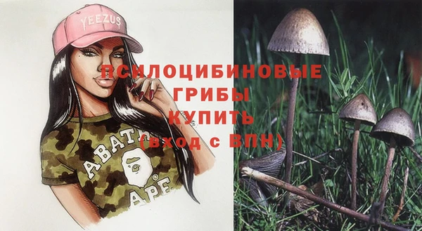ECSTASY Гусиноозёрск