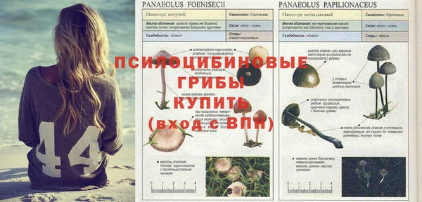 ECSTASY Гусиноозёрск