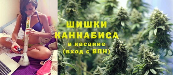 не бодяженный Гусев