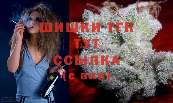 ECSTASY Гусиноозёрск